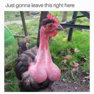 Peler_Ayam