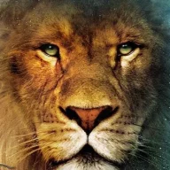 AslanFromNarnia
