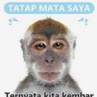 lendir_bsd