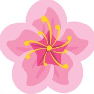 blossom151