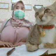 NyamNyam22