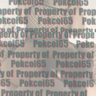 Pokcoi65