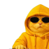 Yellowcat