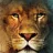 AslanFromNarnia