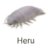 Ghio_420