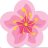 blossom151