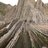 Flysch