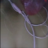BloodyEyes99